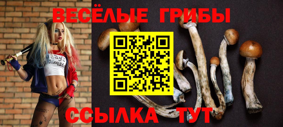 Псилоцибиновые грибы MAGIC MUSHROOMS Новочебоксарск